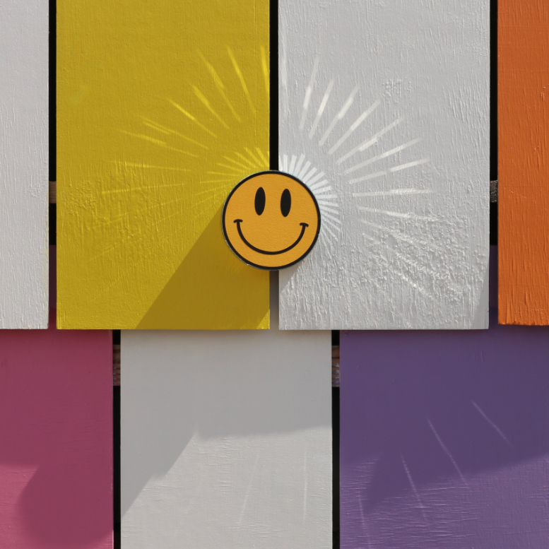 Mirror Smiley Wall_Meg Tait Show Pony