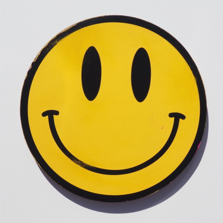 Distressed Smiley No12_full_Meg Tait Show Pony